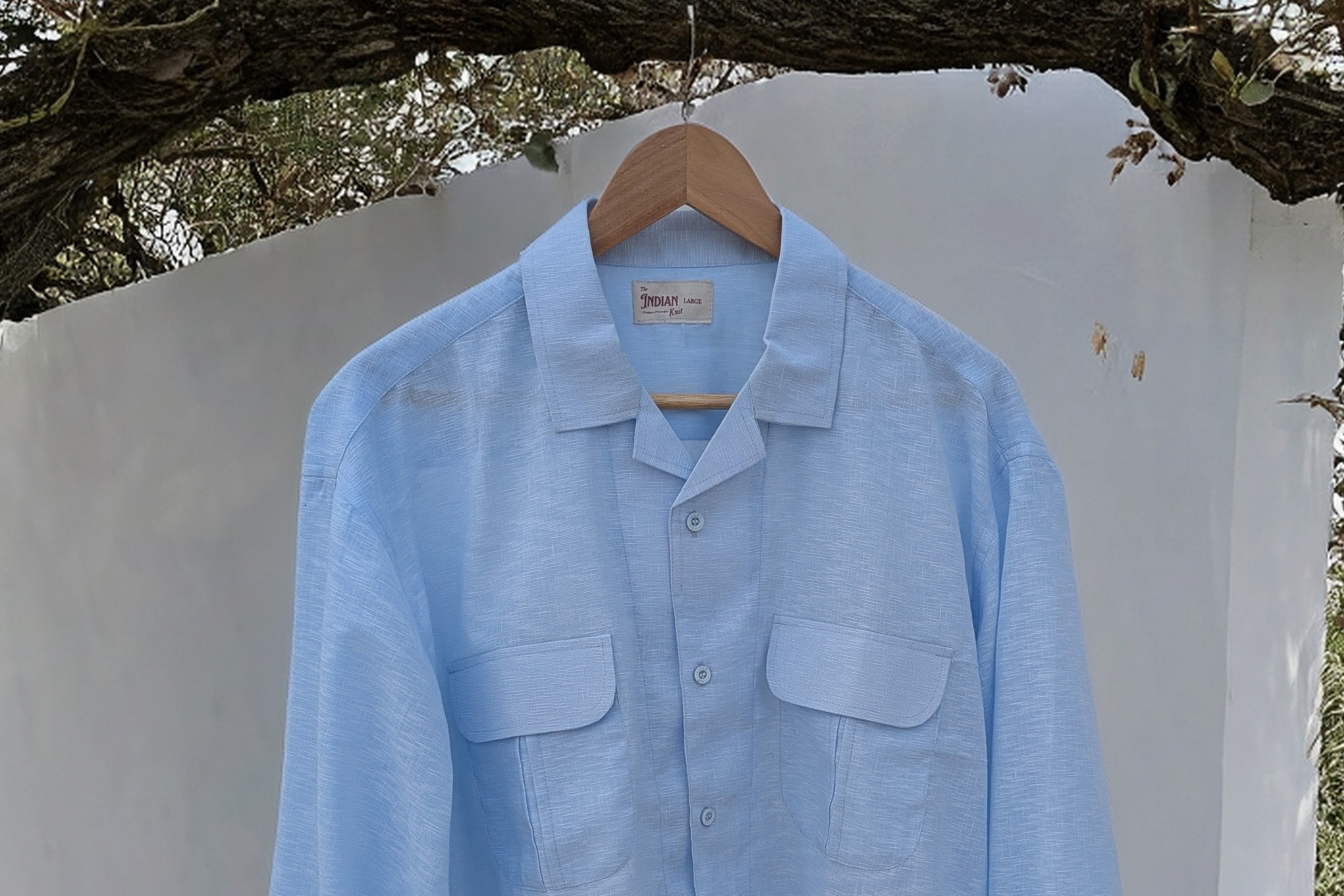 Light blue shirt hanging on a wooden hanger against a white wall with greenery in the background.